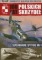 100 lat polskich skrzydeł Supermarine Spitfire MK V
