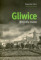 Gliwice. Biografia miasta