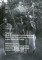 Dziennik kolumny antropologiczno-etnologicznej ekspedycji do Afryki Środkowej w latach 1907-1909