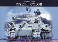 Tiger in color